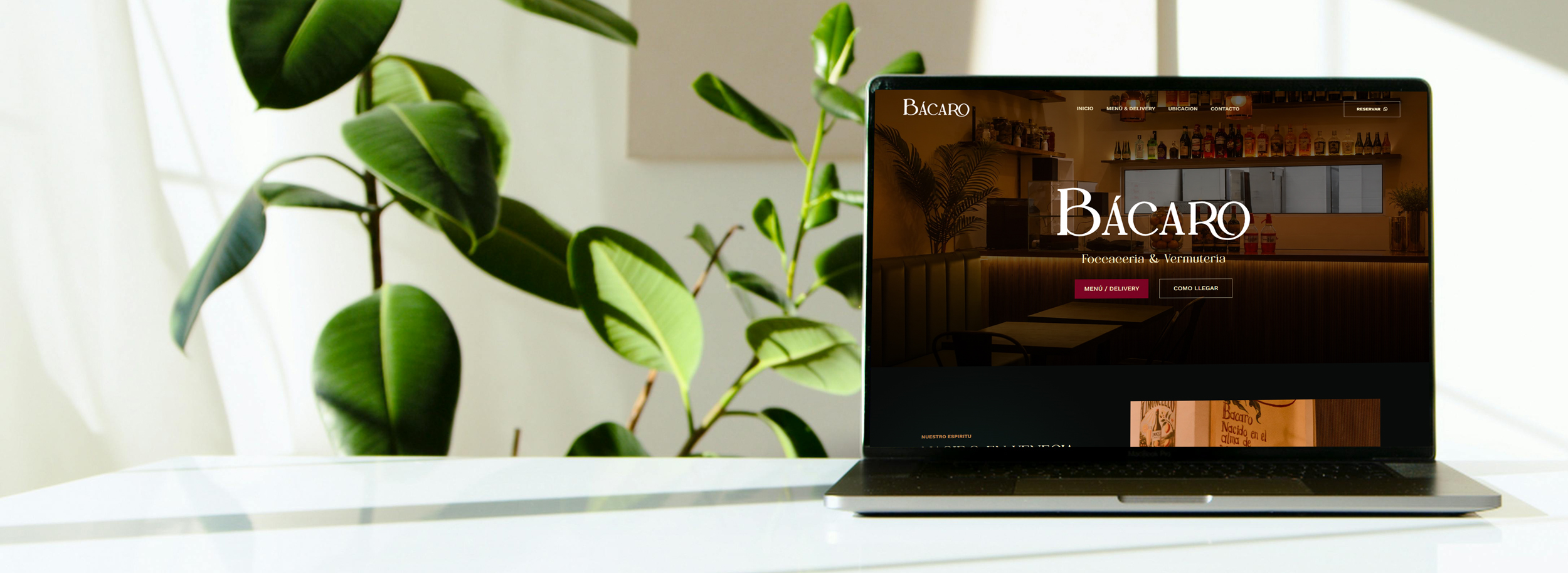 Presencia Diseño Web