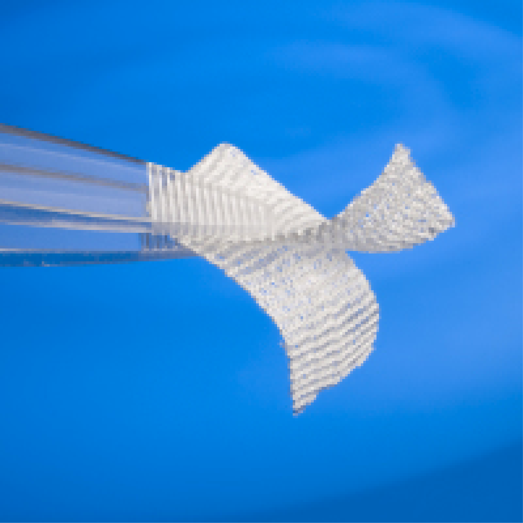 BZO Urine Rapid Test